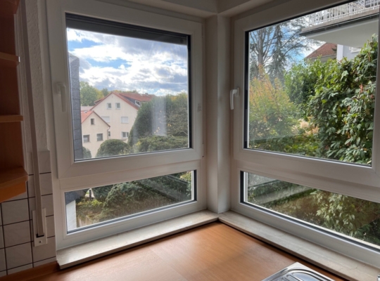 Ausblick v. d. Küche