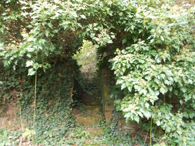 Treppenlaube