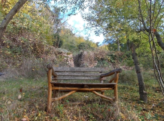 Ihr Platz im Grünen
