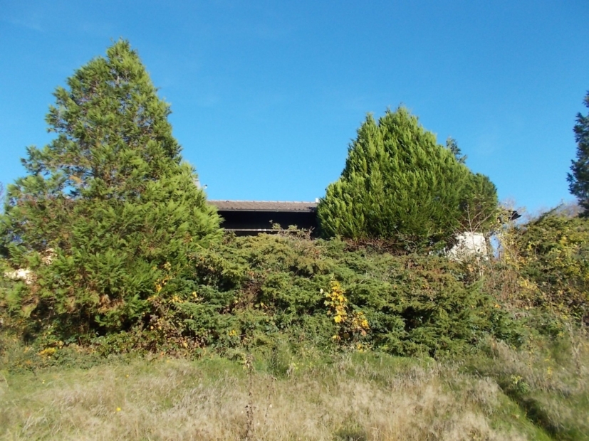 Haus vom Garten