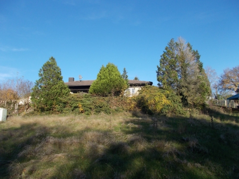 Haus vom Garten