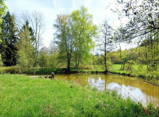 Teich