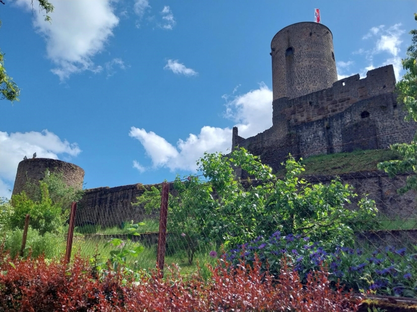 Blick/Garten