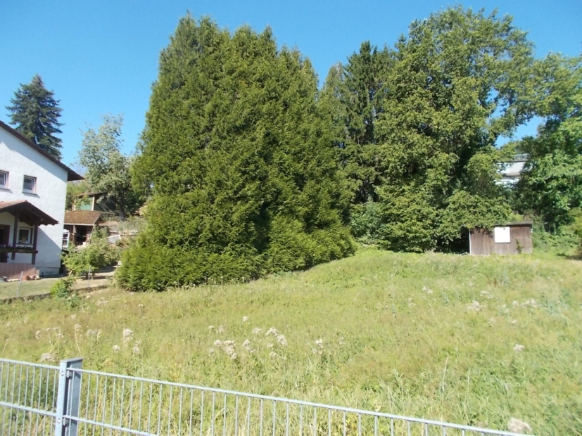 Ansicht
