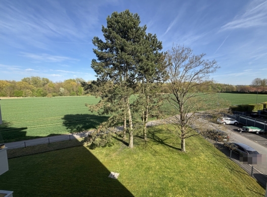 Aussicht vom Balkon
