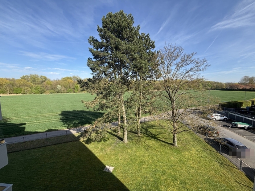 Aussicht vom Balkon